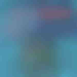 Kiirkuivavad ujumispüksid | TOGGIES