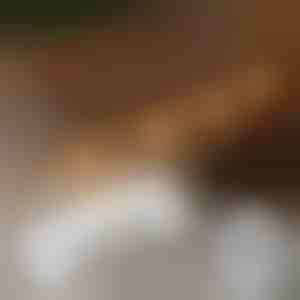 20x isekleepuvad klambrid tulede kinnitamiseks | CORDCLIP