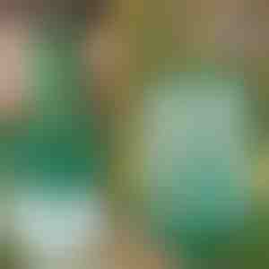 Korduvkasutatav rippuv kärbsepüünis aeda, terrassile ja rõdule | INSECTA