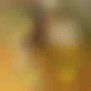 LED akrüülist valgustustahvel 7 märgistusega | LUMOBOARD