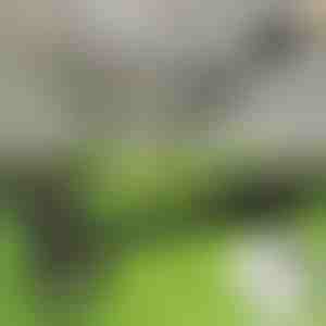 Umbrohu tööriist | RUNCO