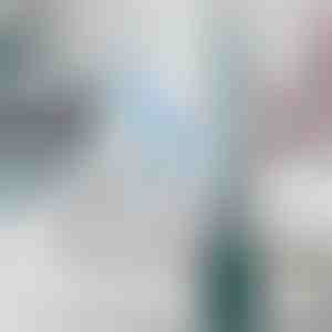 WC-hari sisseehitatud puhastuslahuse dosaatoriga | FLUSHBRUSH