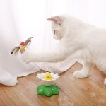 BIRDIETOY