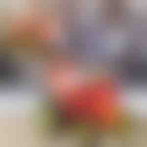 Tehke trikitraktoriga hüppamistrikke | JUMPICAR