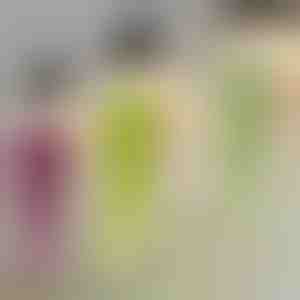 Dekoratiivne ripptaim | IVYORA