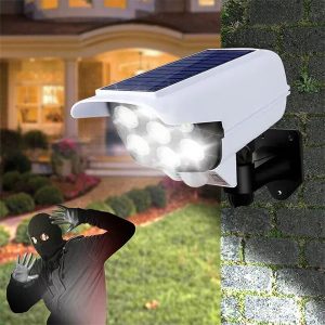 Liikumisanduriga päikesepildi vaatevahend | LUMACAM