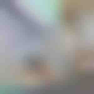 Dekoratiivne ja privaatsust andev aknakile | PRISMWRAP