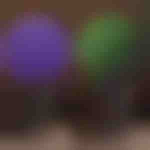 Dekoratiivne taimepall | TOPIORB