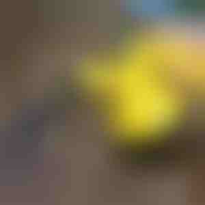 Desinfitseerimise aurupuhasti | VAPERO