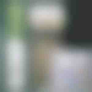 Hambapasta dosaator ja harjahoidja | BRUSHBASE