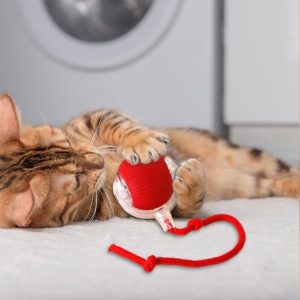 Lemmikloomade mänguasi, mis liigub puudutusel | GATOPLAY