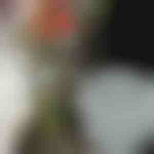 Lillehoidjad uimastavate komplektide jaoks (3tk) | VASEKA