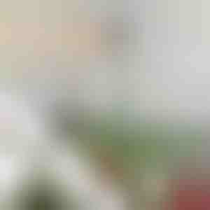 Reguleeritav kuuselatva stabiliseeriv varras | STABLESTAR