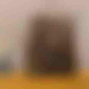 Vargusevastane seljakott | ELIPACK