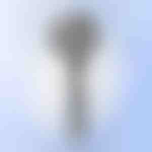 Multifunktsionaalne massaažidušš | SHOWERELAX